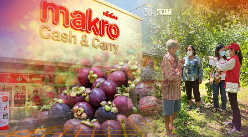 แม็คโครผนึกค้าภายใน ช่วยผู้ปลูกผลไม้ ขายผ่านทุกสาขาถึงต.ค.นี้