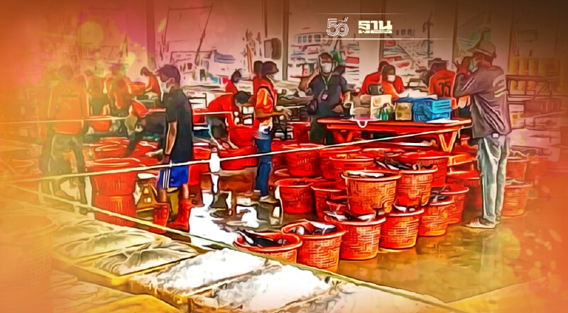 ประมงภูเก็ตคึกคักกลับมาขึ้นปลาวันแรก 123 ตัน ประมงภูเก็ตคึกคักกลับมาขึ้นปลาวันแรก 123 ตัน