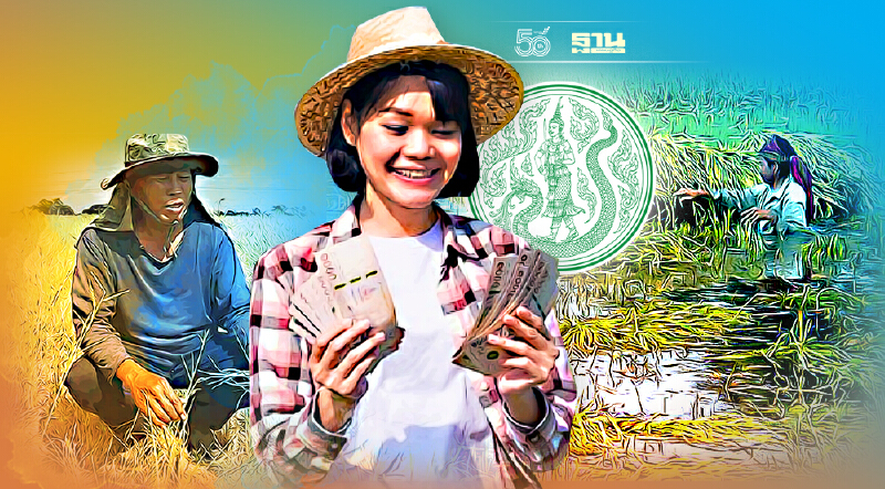 เช็คที่นี่ เกณฑ์เยียวยาเกษตรกร 2564 ประสบน้ำท่วม-ภัยพิบัติ ได้เงินกี่บาท