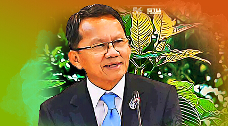 ดันกระท่อมเป็นพืชเศรษฐกิจไทย ระยะแรกราคาสูง ต้องปลูกนาน 4 ปี ดันกระท่อมเป็นพืชเศรษฐกิจไทย ระยะแรกราคาสูง ต้องปลูกนาน 4 ปี