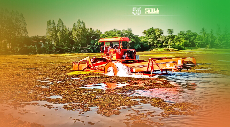 กรมโยธาฯ เร่งกำจัดผักตบชวาเปิดทางน้ำไหล ป้องน้ำท่วม กาญจนบุรี