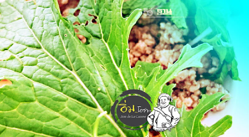 ผักกาดหิ่น