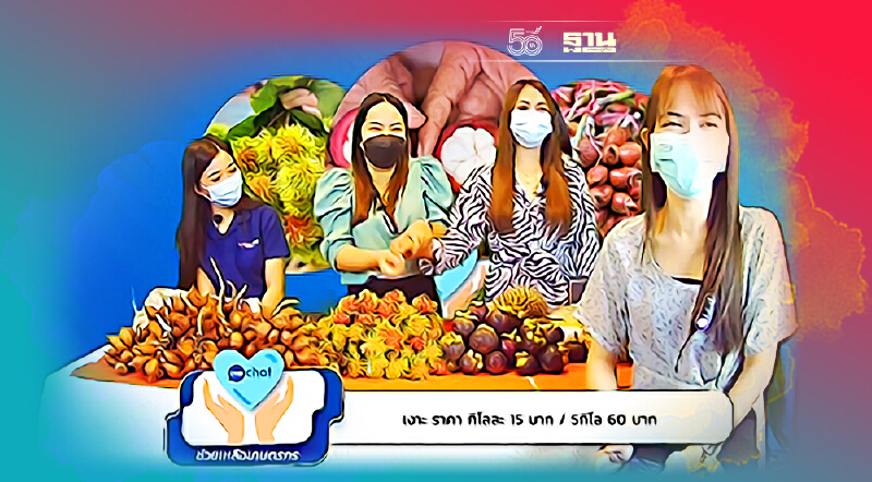 "สงขลาโมเดล"ดึงเงาะ-มังคุดขึ้นกก.ละ5-10บาท