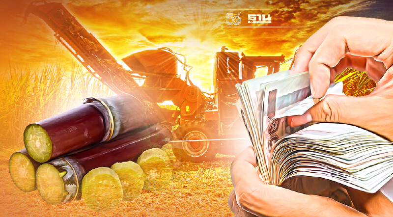 เคาะแล้ว “ประกันราคาอ้อย” ปีการผลิต 2565/66 ขั้นต่ำ 1,000 บาทต่อตัน