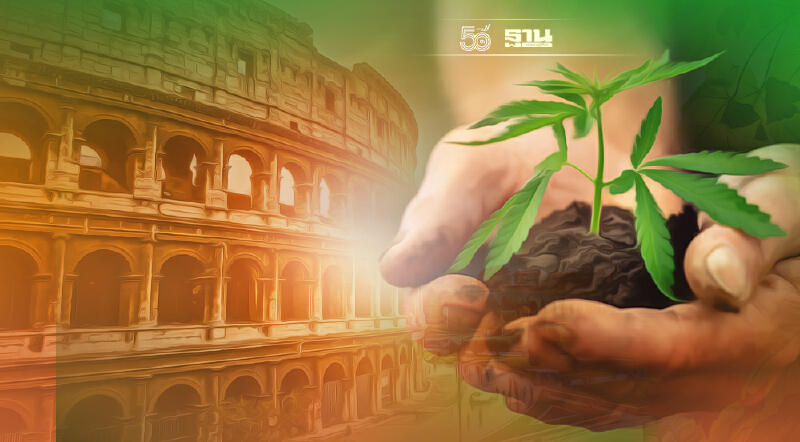 อิตาลีจ่อไฟเขียวประชาชน ปลูกกัญชาบ้านละ 4 ต้น