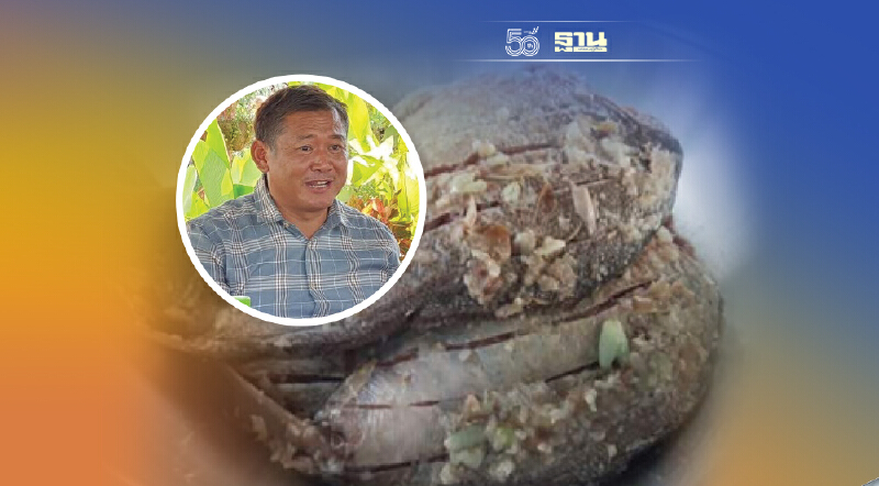 ‘ปลาส้มสมุนไพรวังธรรม’  เมนูอีสาน ยั่วๆ จ้า 