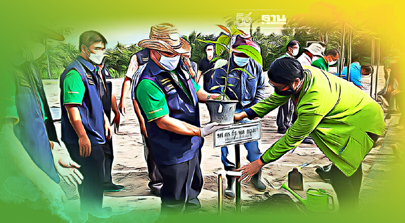 "แม่โจ้"ลงสนามลุยวิจัย"พืชกระท่อม"ครบวงจร 