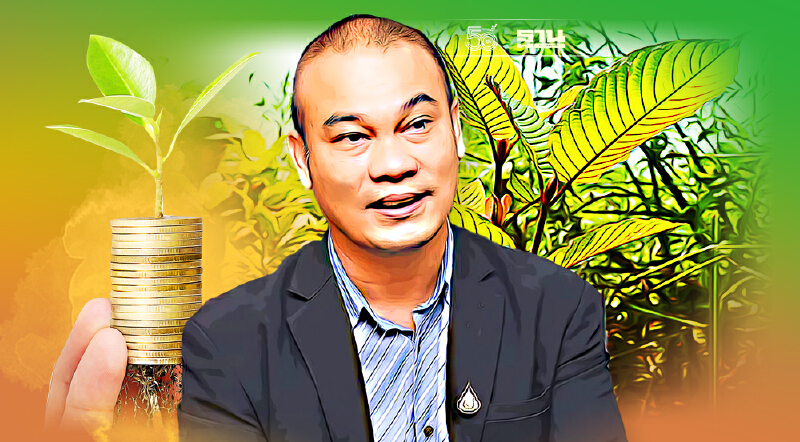 ถามกันจัง “ปลูกพืชกระท่อม” จะขายใคร ฟังคำตอบทางนี้