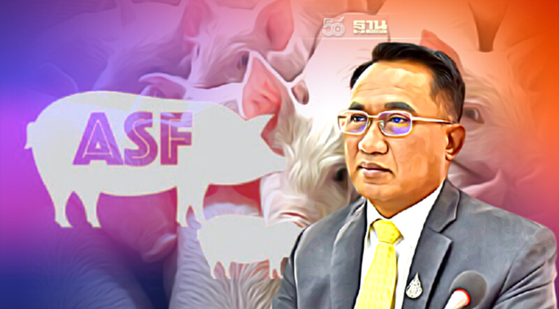 "กรมปศุสัตว์" โชว์ผลงานรอบปี สกัดโรคอหิวาต์แอฟริกาในสุกร "กรมปศุสัตว์" โชว์ผลงานรอบปี สกัดโรคอหิวาต์แอฟริกาในสุกร
