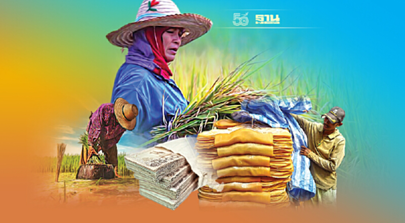 TDRI เฉ่งรัฐอุ้มเกษตร ติดหนี้ ธ.ก.ส. 5 แสนล้าน อีกเหตุเพิ่มเพดานหนี้70% TDRI เฉ่งรัฐอุ้มเกษตร ติดหนี้ ธ.ก.ส. 5 แสนล้าน อีกเหตุเพิ่มเพดานหนี้70%
