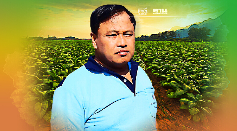 อัตรภาษีบุรี่ใหม่ โหด ชาวไร่ยาสูบ ชี้ทำโควตาหาย-รายได้หด