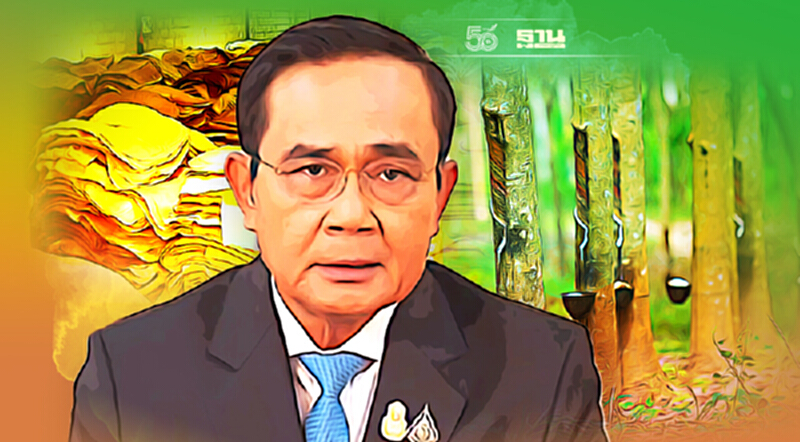 กนย. ไฟเขียว ประกันรายได้ยางพารา ปี 3 ชาวสวนยางพารา เฮ กนย. ไฟเขียว ประกันรายได้ยางพารา ปี 3 ชาวสวนยางพารา เฮ