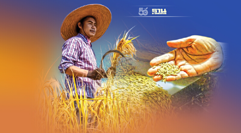 “สถาบันคลังสมอง” ฟันธงส่งออกข้าวต่ำสุดรอบ 34 ปี