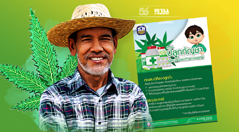 ธ.ก.ส. สินเชื่อหนุนปลูกกัญชา ดอกเบี้ย 0.01% ต่อปี ธ.ก.ส. สินเชื่อหนุนปลูกกัญชา ดอกเบี้ย 0.01% ต่อปี