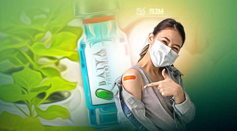เต็มแล้ว! อาสาสมัครแห่ลงทะเบียนทดสอบวัคซีนใบยา ไฟโตฟาร์ม