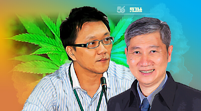 “กัญชา”ต้องไปต่อ นักวิจัยฟันธง“ผู้ป่วย”ได้ประโยชน์