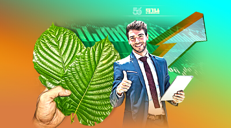 หุ้น ‘กระท่อม’ คึกคัก รับปลดพ้นยาเสพติด