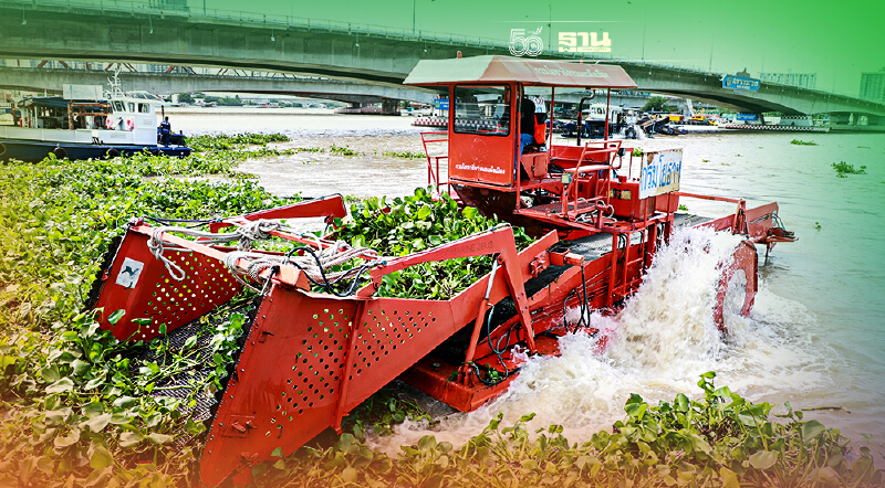 ส่งเรือเสริมกำลัง กทม. กำจัดผักตบชวาในแม่น้ำเจ้าพระยารับมือน้ำท่วม