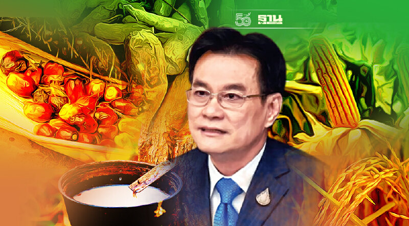 อัพเดท “ประกันรายได้เกษตรกร”สินค้าเกษตร 5 พืช ปี3