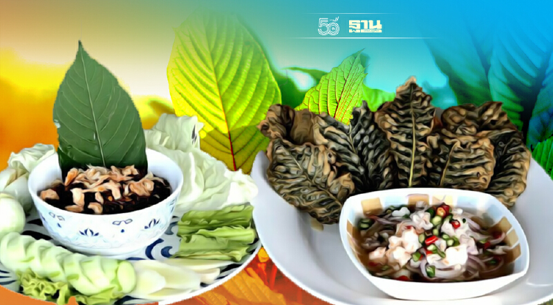 เตือน พืชกระท่อม ห้ามนำใบไปต้ม-ประกอบอาหารจนกว่า อย.จะประกาศ