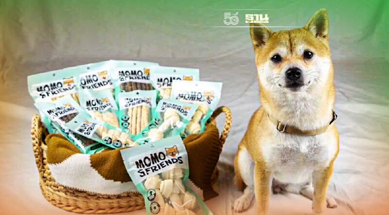 IHL ส่ง“MOMO & FRIENDS” ขึ้นออนไลน์ตีตลาดขนมขบเคี้ยวสุนัข