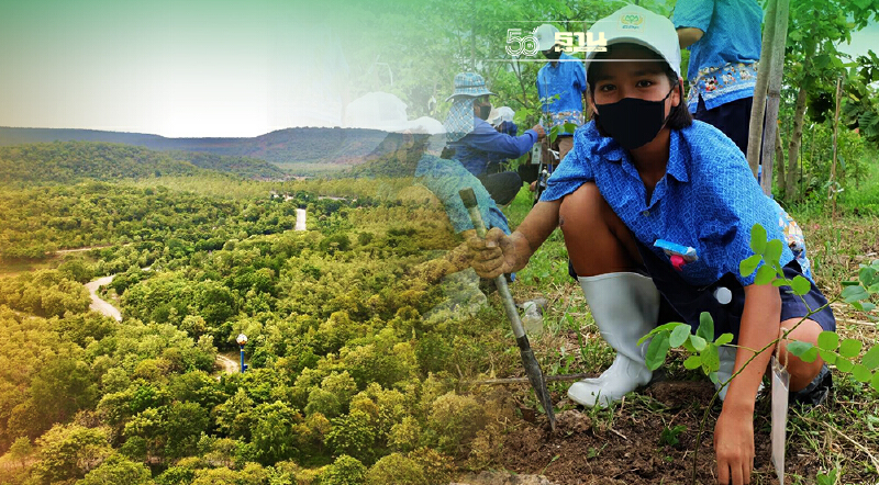 21 ต.ค. วันรักต้นไม้ "ซีพีเอฟ"ร่วมเติมพื้นที่สีเขียวให้ประเทศ 2 หมื่นไร่