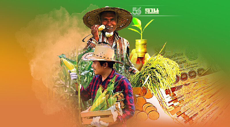 ทุ่ม 1.7 แสนล้านประกันรายได้ปี 3  “หว่านพืชหวังผล”รับศึกเลือกตั้ง