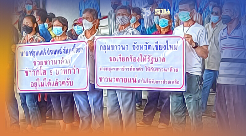 "ม็อบชาวนา" เชียงใหม่ ร้องระงม  ราคาข้าวเหนียวตกต่ำ