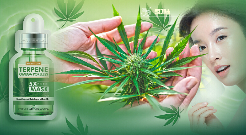 KISS ส่งนวัตกรรมกัญชง ดัน "โรจูคิส" ปลุกอุตสาหกรรมความงาม