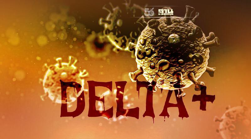 7 เรื่องต้องรู้ โควิดเดลต้าพลัส AY.1 ในไทย ก่อนเปิดประเทศ 1 พ.ย.นี้