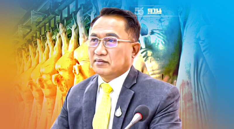 กรมปศุสัตว์ ไขข้อข้องใจทำไม "เชือดสุกร" ต้องส่งโรงฆ่าสัตว์ กรมปศุสัตว์ ไขข้อข้องใจทำไม "เชือดสุกร" ต้องส่งโรงฆ่าสัตว์