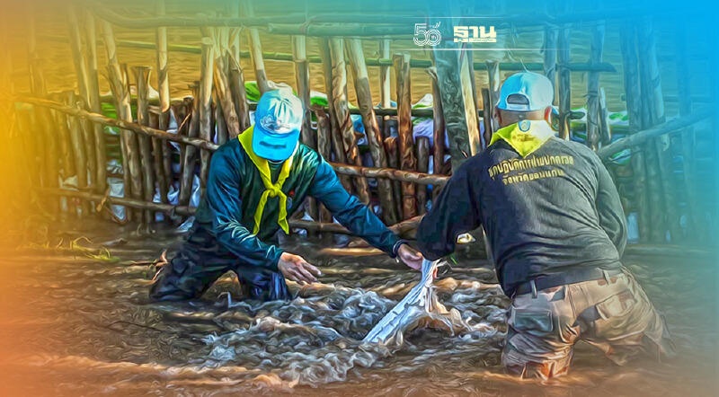 “นายกฯ”สั่งกองทัพ คงกำลังช่วย ปชช. ถูกพายุ “เตี้ยนหมู่”ถล่ม