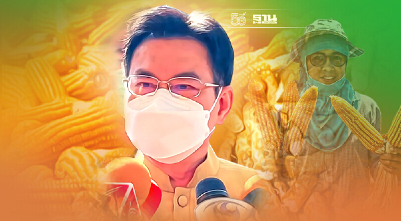 ครม.อนุมัติ  ประกันรายได้ ข้าว มัน ข้าวโพด ปี 3