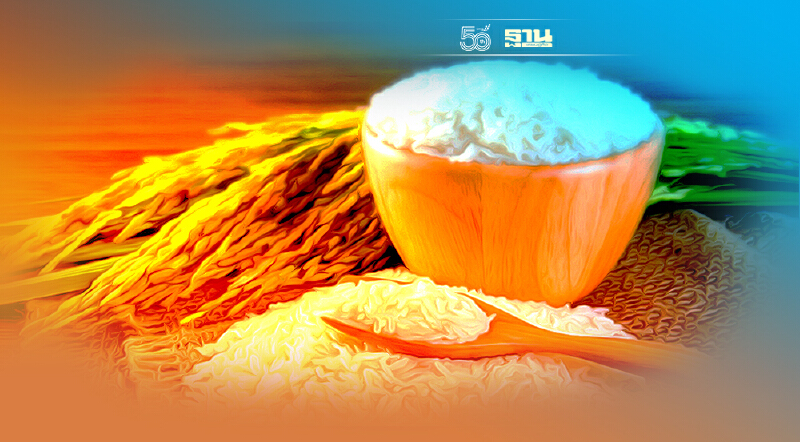 เตือน ระวัง "ข้าวหอมมะลิ" ล้นประเทศ กระทบชาวนา