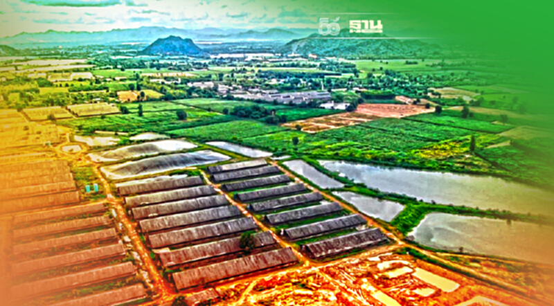คพ.ขีดเส้นแก้ไขน้ำเสียฟาร์มหมูราชบุรี เข้าที่ดินชาวบ้าน คพ.ขีดเส้นแก้ไขน้ำเสียฟาร์มหมูราชบุรี เข้าที่ดินชาวบ้าน