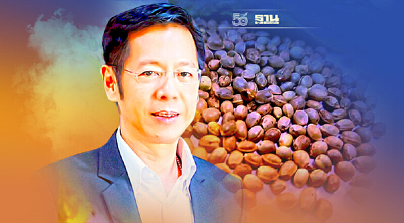 ผงะ ไทยนำเข้าเมล็ดพันธุ์กัญชงกว่า 900 ล้านบาท ผงะ ไทยนำเข้าเมล็ดพันธุ์กัญชงกว่า 900 ล้านบาท