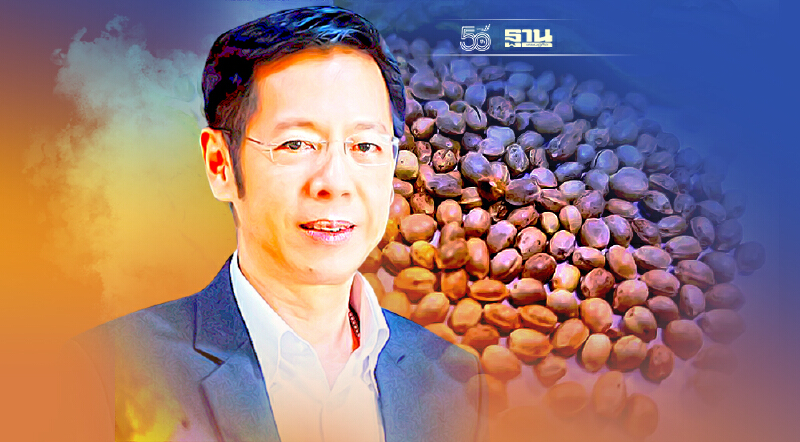 ผงะ ไทยนำเข้าเมล็ดพันธุ์กัญชงกว่า 900 ล้านบาท