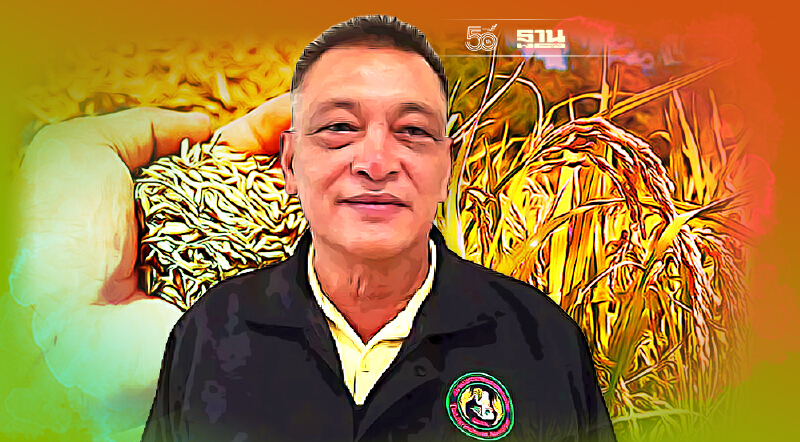 ผวาราคาข้าวตกต่ำ จี้รัฐเร่ง “ประกันรายได้ข้าว” อุ้มชาวนา ด่วน!