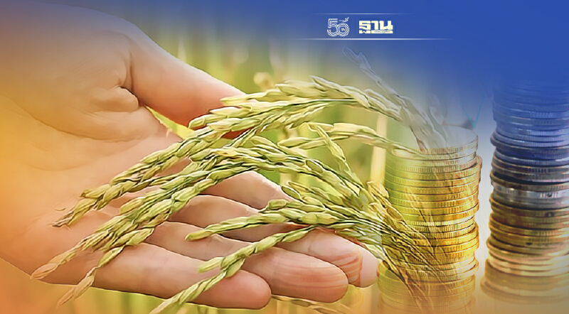 “ประกันรายได้ข้าว” งวดที่ 1 -3 ออกแล้ว ใครได้บ้าง ตรวจสอบสิทธิ์ ด่วน!