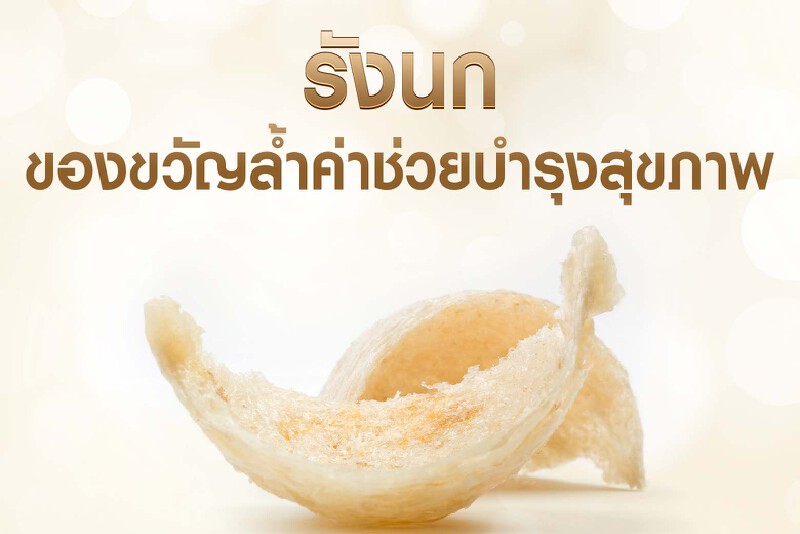 “รังนก” ของขวัญล้ำค่าจากธรรมชาติช่วยบำรุงสุขภาพ