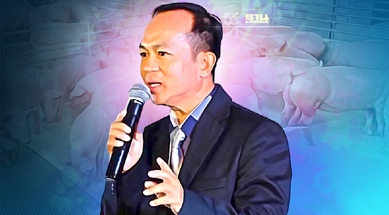 พิษน้ำท่วม-โควิดทุบท่องเที่ยว-อาหารสัตว์พุ่ง กดผลผลิตหมูไทยวูบ 5 ล้านตัว