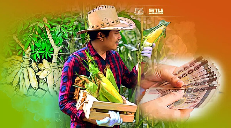 เงินเยียวยาเกษตรกรรอบล่าสุด ธ.ก.ส. เช็คไทม์ไลน์เบื้องต้นตรวจสอบที่นี่