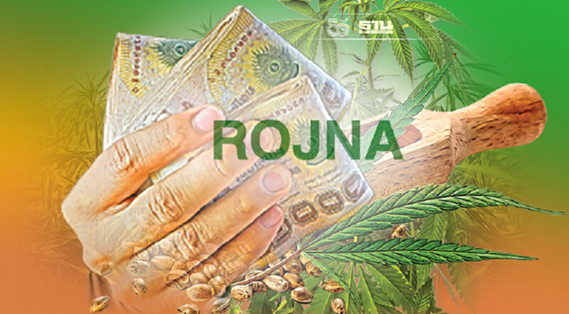ROJNA ทุ่ม 51 ล้านบาท เทกฯ"เฮิร์บ เทรเชอร์"รุกธุรกิจกัญชง ROJNA ทุ่ม 51 ล้านบาท เทกฯ"เฮิร์บ เทรเชอร์"รุกธุรกิจกัญชง