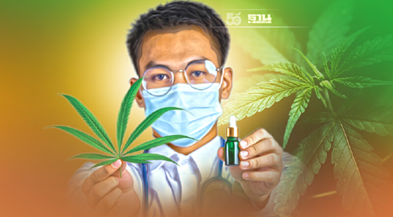 นักวิจัย เผยประโยชน์ สารสกัด CBD จากกัญชง นักวิจัย เผยประโยชน์ สารสกัด CBD จากกัญชง
