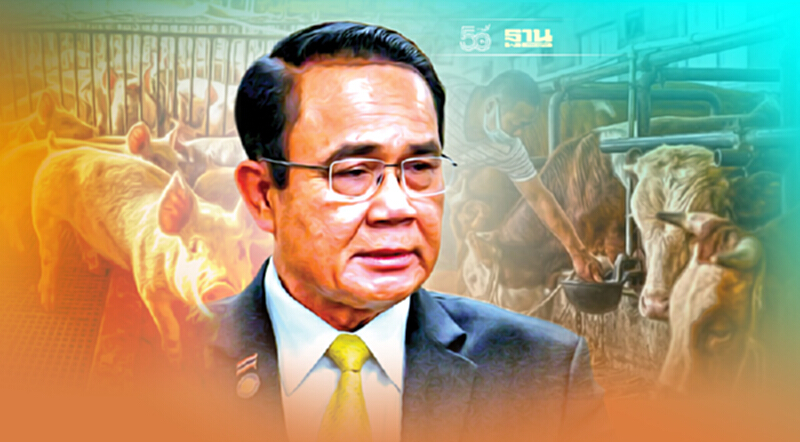 “นายกฯ “แนะตั้ง Sandbox ปศุสัตว์ เพิ่มรายได้เกษตรกร “นายกฯ “แนะตั้ง Sandbox ปศุสัตว์ เพิ่มรายได้เกษตรกร