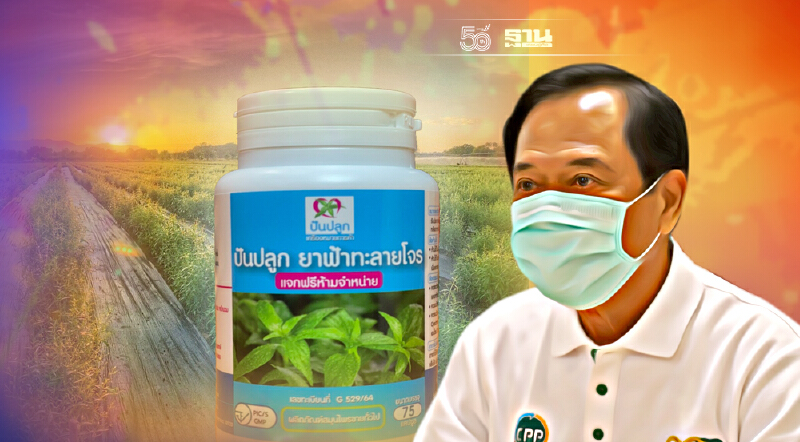 ฟ้าทะลายโจร “ซีพี” 100 ไร่พร้อมเก็บเกี่ยว แจกฟรียาล็อตแรก 5 ธ.ค. ฟ้าทะลายโจร “ซีพี” 100 ไร่พร้อมเก็บเกี่ยว แจกฟรียาล็อตแรก 5 ธ.ค.