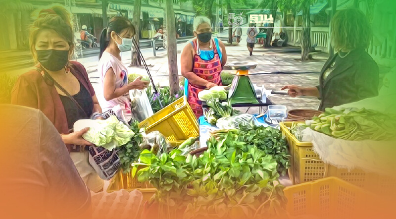 เปิดราคา ผักชี-ขึ้นฉ่าย! กรมการค้าภายใน ชี้ ราคาเริ่มถูกลงแล้ว