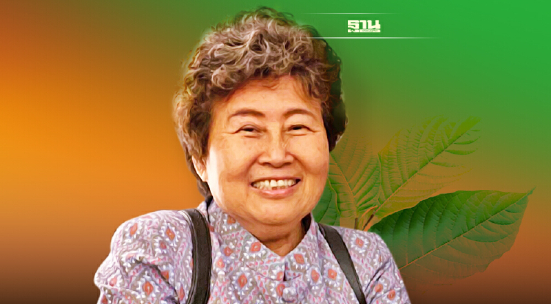 เตือนกิน “กระท่อม” ไม่เกิน 3 ใบปลอดภัย แต่ต้องระวังหากใช้ไม่เหมาะสม