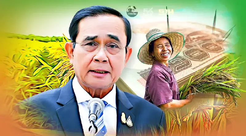“ประกันรายได้ข้าว” จ่ายต่อเนื่อง ไม่สะดุด  “นายกรัฐมนตรี” คอนเฟิร์ม