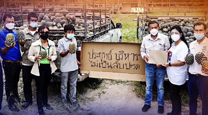 “เกษตรกร”ร้องเรียน“หญิงหน่อย”รัฐบาลทำราคาสับปะรดตกต่อเนื่อง “เกษตรกร”ร้องเรียน“หญิงหน่อย”รัฐบาลทำราคาสับปะรดตกต่อเนื่อง